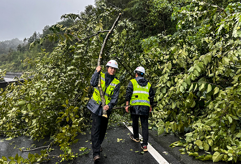 清理倒伏樹木 (2).jpg