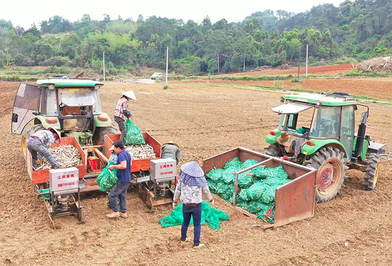 當(dāng)?shù)厝罕娬龘屪マr(nóng)時開展播種作業(yè)1.jpg 當(dāng)?shù)厝罕娬龘屪マr(nóng)時開展播種作業(yè)1.jpg