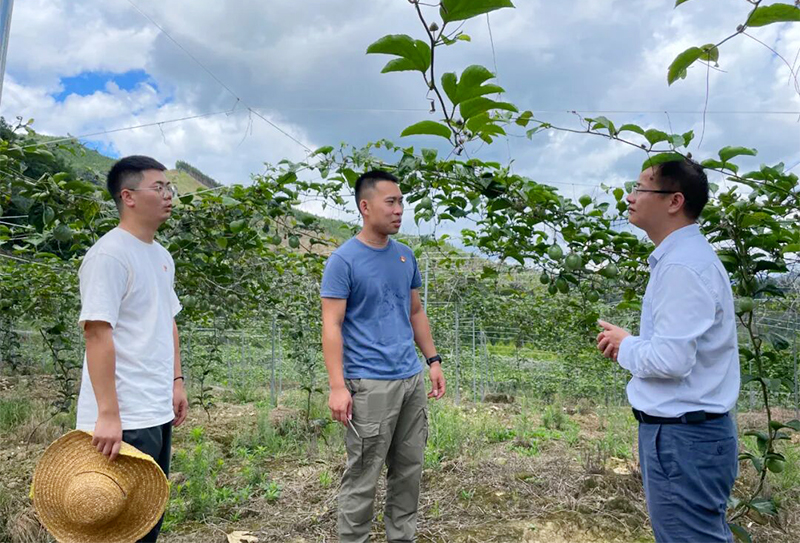 金秋鄉(xiāng)村行 點(diǎn)亮振興路 | 玉林運(yùn)營(yíng)公司開(kāi)展暖心幫扶活動(dòng)